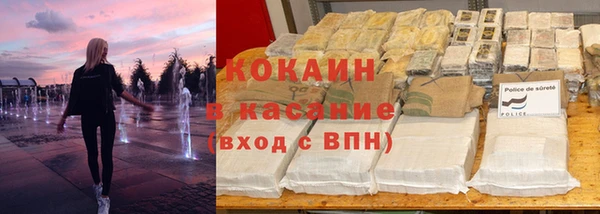 шишки Беломорск