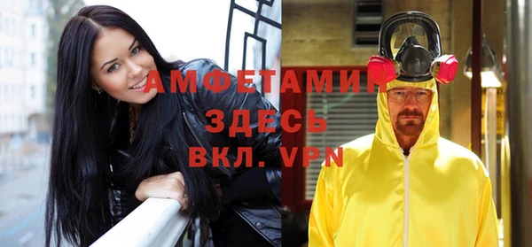 шишки Беломорск