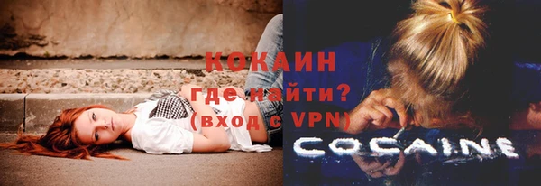 шишки Беломорск