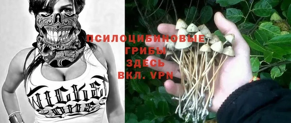 шишки Беломорск